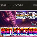 【オクトパストラベラー大陸の覇者】最速レベリング更新！時速1500万経験値！！おまけで名声上級も！（名声中級最速動画）