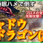 【オクトラ】シャドウドラゴン(赤)を噂の麻痺睡眠ハメとやらで倒す‼︎第79話【大陸の覇者】