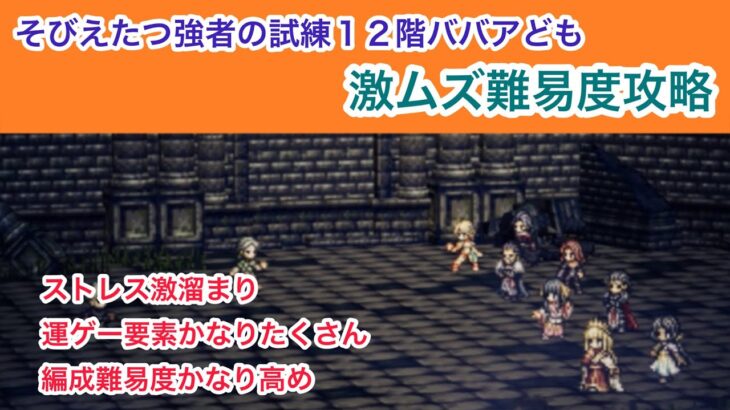 【オクトラ大陸の覇者】そびえたつ強者の試練12階を攻略