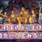 ＃19【オクトラ２】裏ボスに向けてLv上げと東大陸の街探索！【オクトパストラベラー２】【OCTOPATHTRAVELER2】