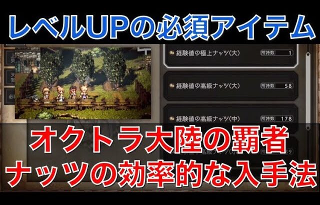 【オクトラ大陸の覇者】初心者必見！経験値ナッツの超効率的な入手方法！