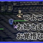 【ネタバレ注意】逃げてきたコンテンツに向き合う枠【オクトラ大陸の覇者】