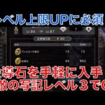 【オクトラ大陸の覇者】レベル上限UPに必須！金導石を手軽に大量入手する方法！宿敵の写記レベル３でOK！