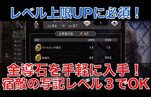 【オクトラ大陸の覇者】レベル上限UPに必須！金導石を手軽に大量入手する方法！宿敵の写記レベル３でOK！