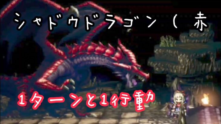 【オクトラ大陸の覇者】シャドウドラゴン(赤) 1ターンと1行動