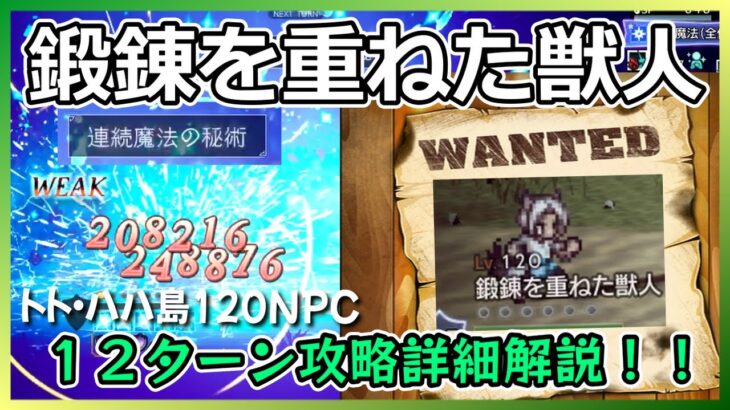 鍛錬を重ねた獣人を攻略！詳しく解説していきます【オクトラ大陸の覇者】