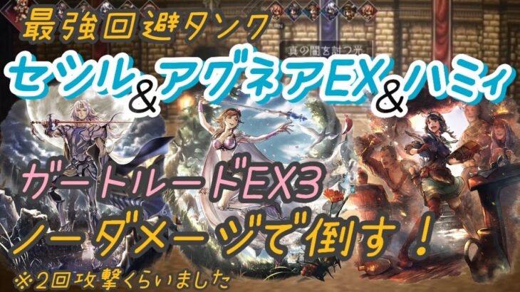 【オクトラ大陸の覇者】ガートルードEX3　最強回避タンクセシル爆誕！