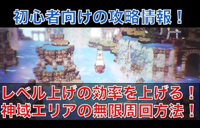 【オクトラ大陸の覇者】初心者向け！神域の無限周回方法！どこでも使えるレベル上げ方法です！