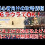 【オクトラ大陸の覇者】初心者向け！神域の無限周回その２！星６ラウラでも実現できました！