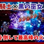 味方を倒して最高峰の火力になる！相性最高な黒の騎士×黒の巫女を実戦 in ミルガルディex3 【オクトパストラベラー大陸の覇者】