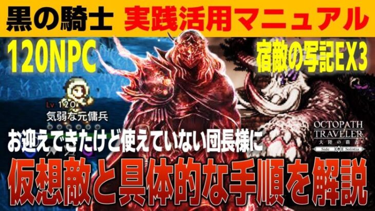 【オクトラ大陸の覇者】黒の騎士活用マニュアル～使い方がわからない団長様へ～【ver3.18.00】