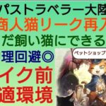 オクトラ覇者 復刻商人猫リーク性能再解説【オクトパストラベラー大陸の覇者】