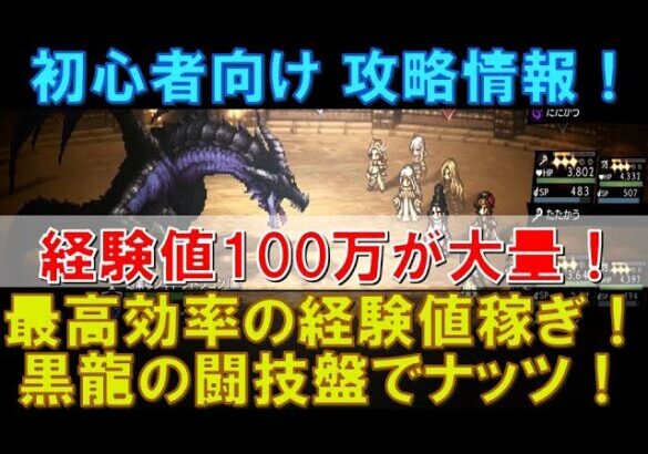 【オクトラ大陸の覇者】攻略情報！最高効率の経験値稼ぎ！黒龍の闘技盤で経験値100万ナッツ大量獲得！