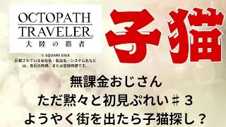 ゲーム実況【オクトラ大陸の覇者】ようやく、街を出たら子猫探しに巻き込まれる