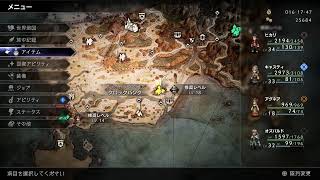 早くもオクトパストラベラー2をやる男　6日目 マップ埋めつつ
