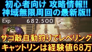 【オクトラ大陸の覇者】初心者向け攻略情報！神域無限周回の最新版！ザコ敵の自動狩りでレベリング！ホーリーキャットリンは経験値60万超え！