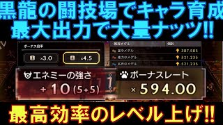 【オクトラ大陸の覇者】最強のレベル上げ！黒龍の闘技場を最大出力で攻略すると、大量のナッツが獲得できます！現状では最高効率のレベル上げ！