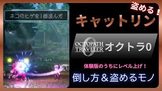 【オクトラ0】キャットリンでレベル上げ！簡単な倒し方！盗めるモノ判明！【体験版PS5】