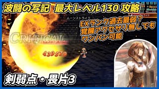 【オクトラ大陸の覇者ver4.0.01】波闘の写記　剣弱点・畏片3 最大レベル130攻略（EXランク過去最弱？）