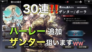 【オクトラ】ハーレー実装されたけどザンター狙って30連！
