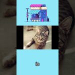 Octopath Traveler 0 means Final Fantasy 6 is NEVER being remade?