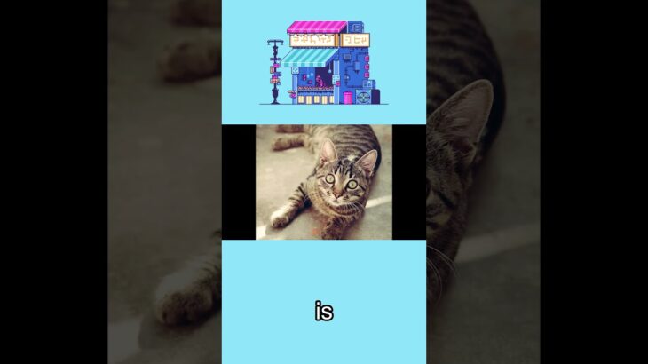 Octopath Traveler 0 means Final Fantasy 6 is NEVER being remade?