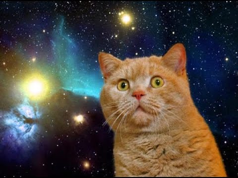 【オクトパストラベラー０】ちくわ本舗のゲーム部屋【ネタバレありpart9】