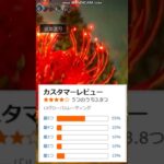 【朗報】オクトパストラベラー０、アマラン高評価で好調なスタートか！！