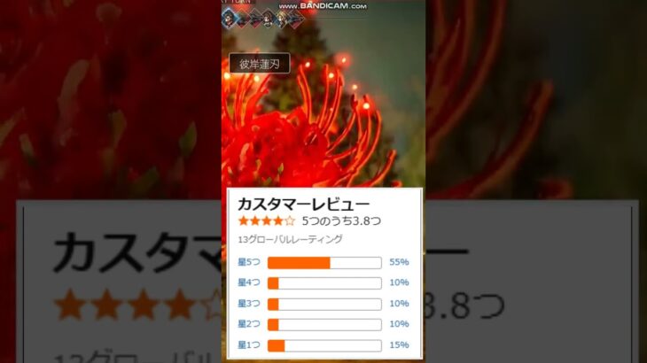 【朗報】オクトパストラベラー０、アマラン高評価で好調なスタートか！！