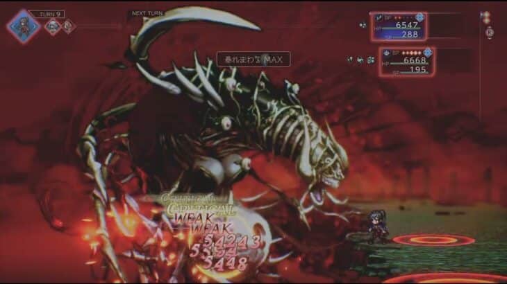 オクトラ０　２人でガルデラ