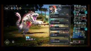 オクトパストラベラー大陸の覇者　救世の写本-波闘の写記