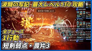 【オクトラ大陸の覇者ver4.1.10】波闘の写記 短剣弱点・畏片3 最大レベル130攻略