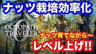 【オクトパストラベラー0】『ナッツ栽培とレベル上げを同時に効率よく進める方法』