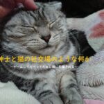 【オクトパストラベラー0】へたれ、ゴールド・ロジャー（違）を目指すPart26【ネタバレあり】