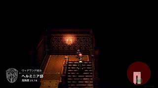 洗濯まちながら　無言のレベル上げ　ネタバレあり　パート14  オクトパストラベラー0