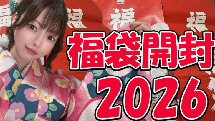 【福袋開封2026】レトロゲーム福袋！ワンピースカードやマクドも！その他沢山開封