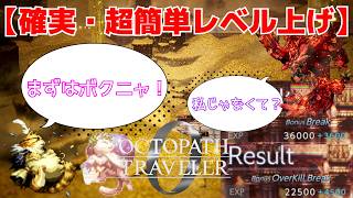 【オクトパストラベラー0】超簡単レベル上げ＆ウィッシュベールおすすめ育成要素を解説！
