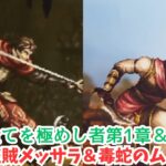 オクトラ0#9　盗賊メッサラ＆毒蛇のム・シウヒ