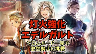 #195【オクトラ大陸の覇者】ジークリッドも大活躍！