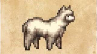 闇に呑まれしアルパカex4 4ターン撃破　オクトラ大陸の覇者