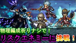 【オクトラ大陸の覇者】新リスクエネミーを祈りナシ物理編成で討伐！【ネタバレ有】