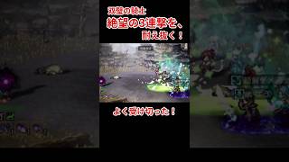 【オクトラ大陸の覇者】必殺の3連撃、耐えた瞬間 | 双璧の騎士