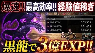 【オクトラ大陸の覇者】爆速経験値稼ぎ！いつもの黒龍いきます！３億経験値がすごい！