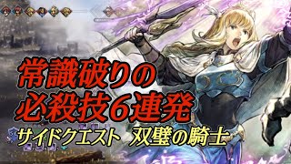 #203【オクトラ大陸の覇者】ちょっと変わった戦い方（双璧の騎士）