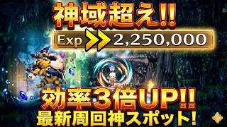 【オクトラ大陸の覇者】神域超えの新たな狩場！戦域効果で225万の経験値！最高効率の無限周回がここに！