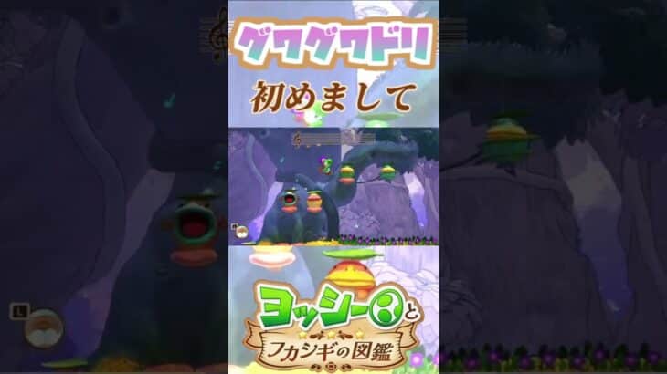 グワグワドリに初めて会う奴【ヨッシーとフカシギの図鑑】【ネタバレあり】#shorts