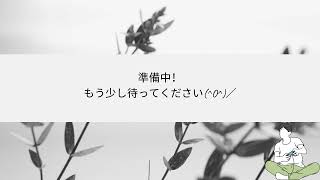 オクトパストラベラーする男１３
